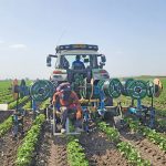 Drip-Irrigation-system
