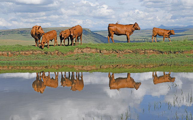 Advice for aspiring farmers Advice for aspiring farmers
