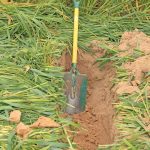soilhealth2