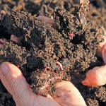 soilhealth3