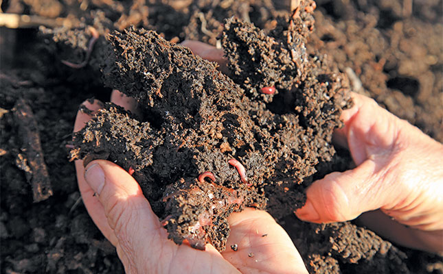 Soil health 101: a guide to sustainable production Soil health 101: a guide to sustainable production
