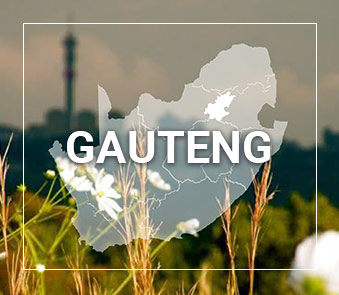 Gauteng