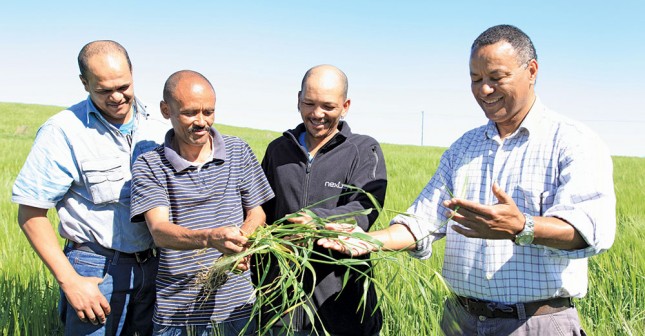 suurbraak-Grain-Farmers-Co-operative-members