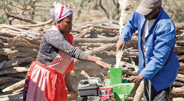 According to Alcock, ‘farmers farm where they are,’ and support must thus be local, specific and practical. Farmers have been taught how to process their own fodder and how to manufacture protein/energy licks using block-making machines built specifically for this purpose.