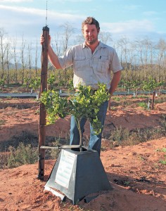 Louis-Loubser-with-his-treehog-invention