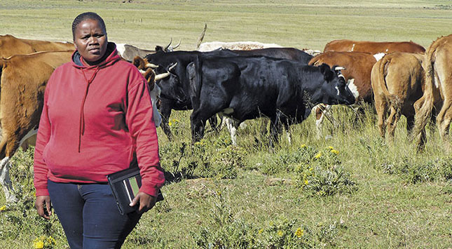 ‘You will reap what you deserve,’’ says Zandile Cewu about her fledgling farming career near Indwe in the Eastern Cape. ‘At home we were taught to work for what we want and need.’