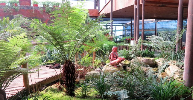 Forest-Ferns-visitors-center-and-nursery