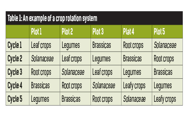 Garden Rotation Chart