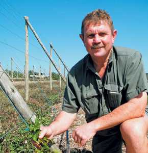 granadilla-crop-farmer-kosie-eloff