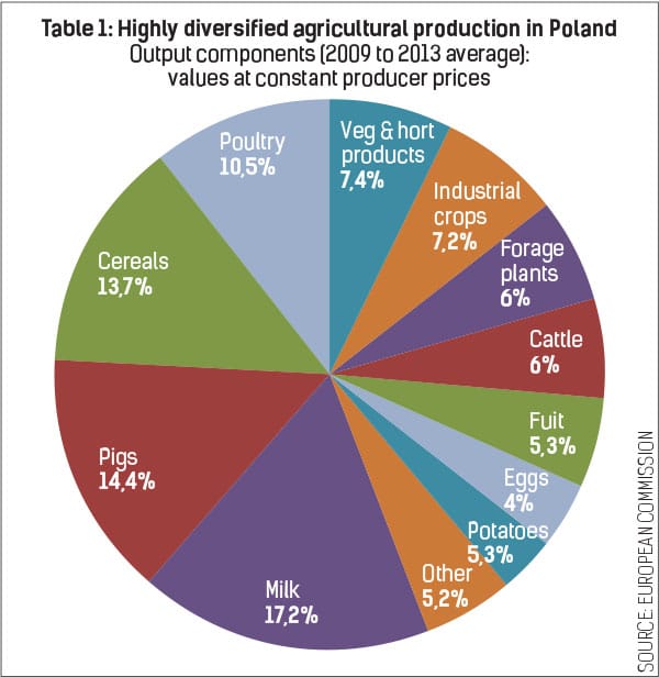 Highly-diversified-agricultural-production-in-Poland