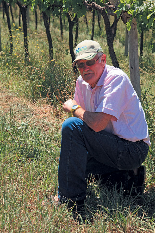 Fritz-Breytenbach-weed-population