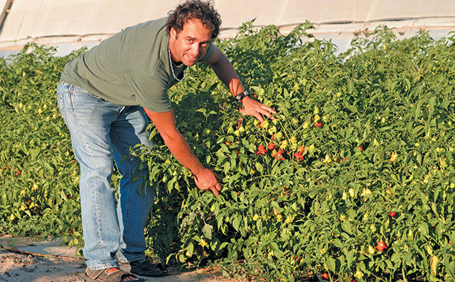 Julian Abramson remains a chilli farmer at heart.