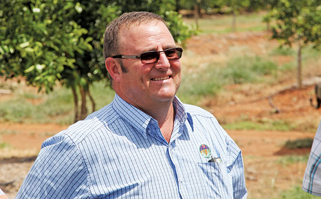 Citrus farming: off-season tasks