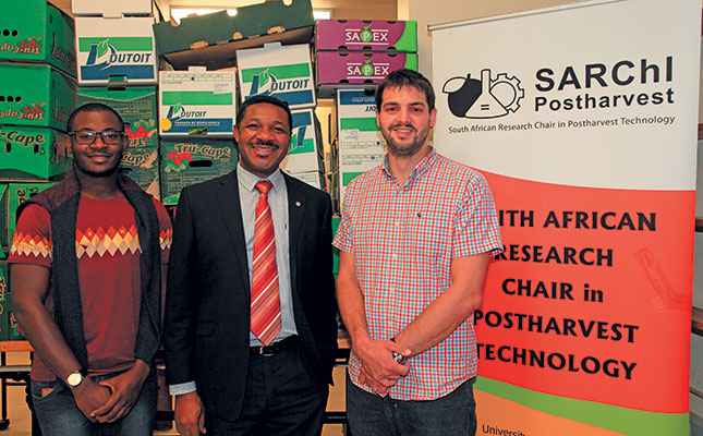 The science of fruit packaging: SA leads the way