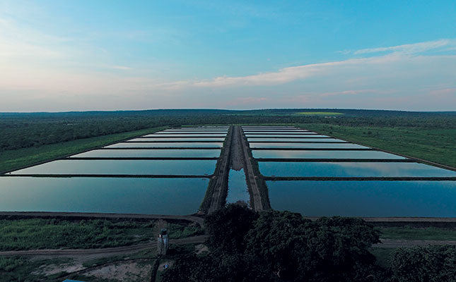 sa government failing commercial aquaculture
