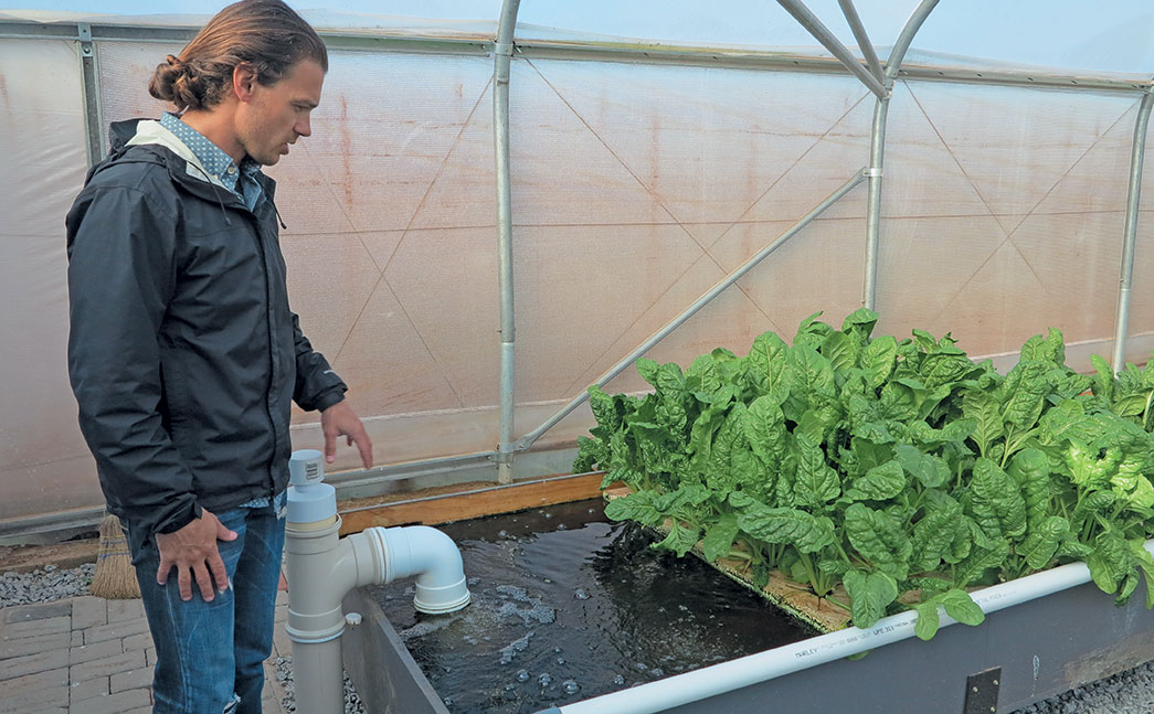 Fish tea is pumped into tanks.