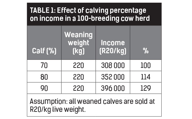 Beef Cattle Weight Gain Chart