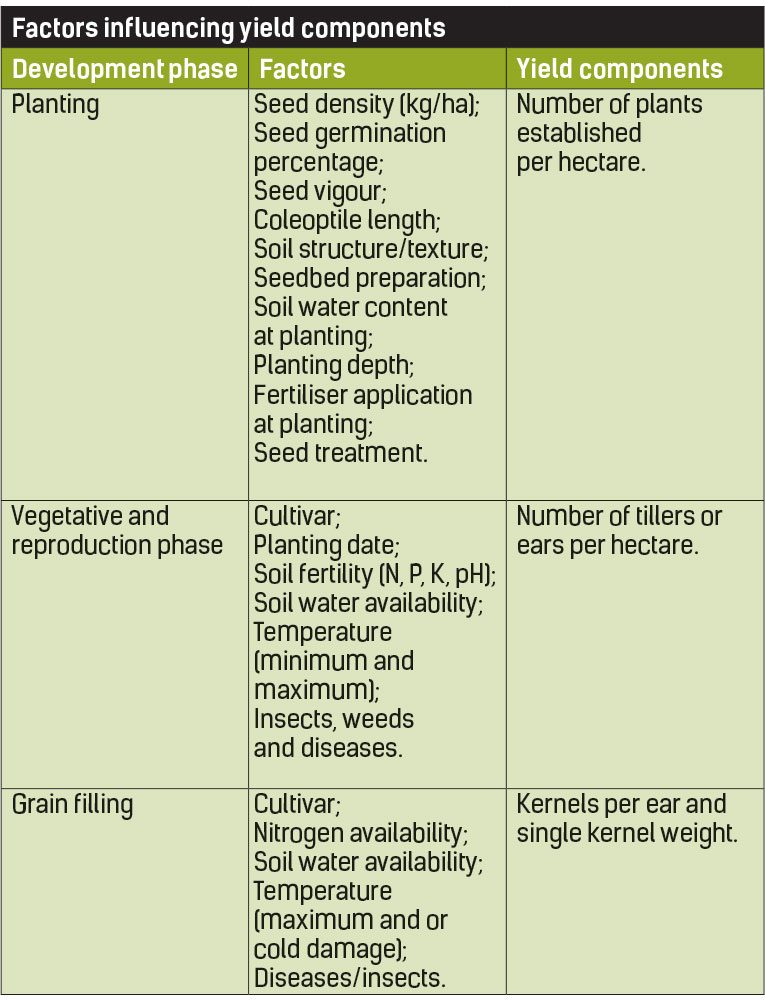 Factors influencing yield components