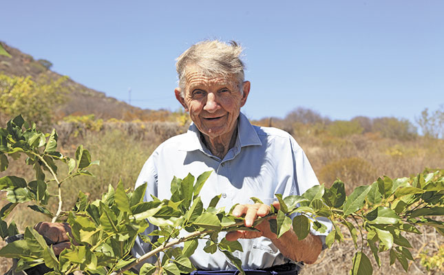Diesel tree: fuel for the alternative energy sector