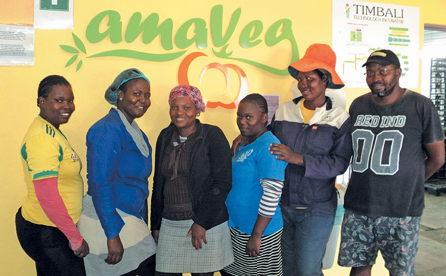 amaVeg farmers