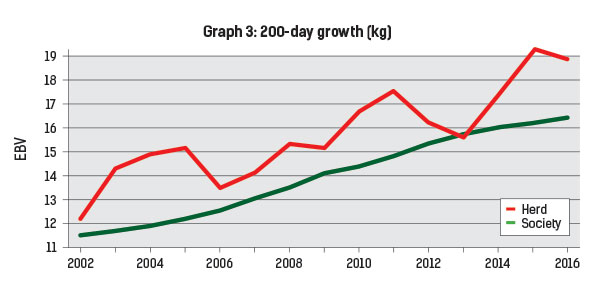 200-day growth graph