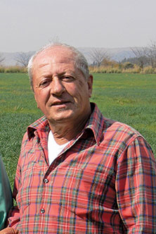 Tony Spolidoro