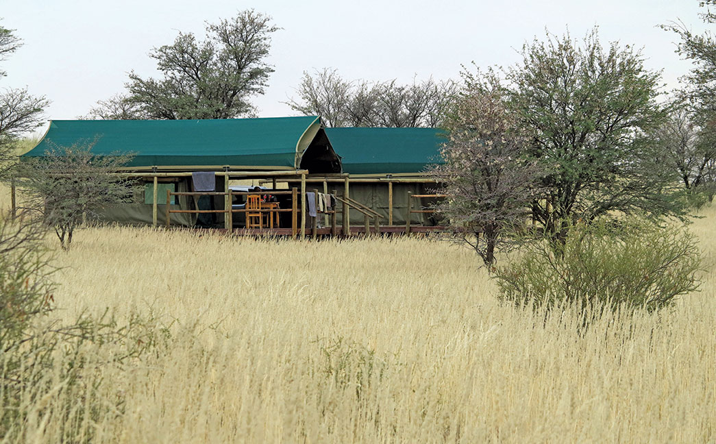 Erin hunting camp