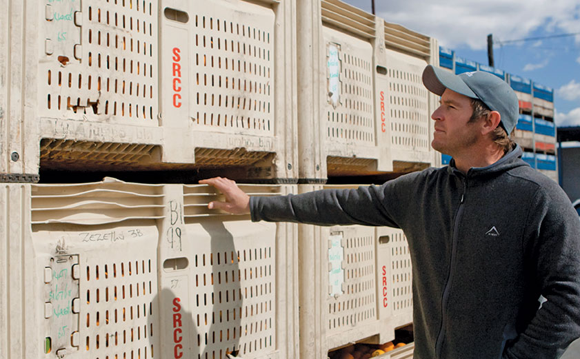 Orchard manager Joe Pringle