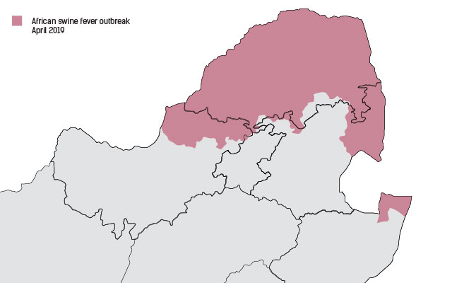 African swine fever
