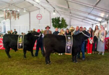 Biosecurity measures tightened for Swartland Show