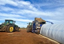 Silage quality checklist for dairy farmers