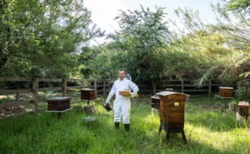 Plan ahead for successful pollination