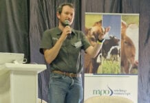 SA dairy sector must learn to live with FMD