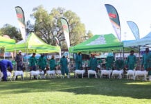 How the Windhoek Show grew into a regional agricultural hub