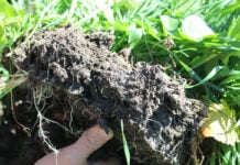 Farmers cannot carry regenerative agriculture costs alone