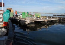 The state of SA’s small-scale aquaculture