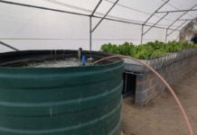 Aquaponics offers a practical solution for farming with less water