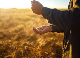 Correct timing needed for farm transactions