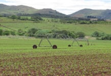 El Niño: preparing farm finances for a drier season