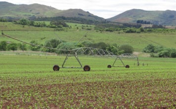 El Niño: preparing farm finances for a drier season