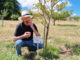 Wine, apples, and the art of ageing very well