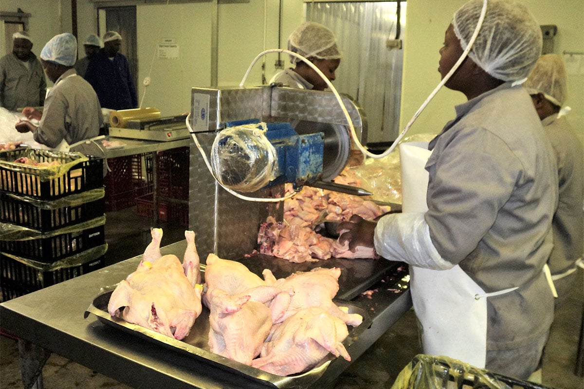 Failing municipalities threaten poultry competitiveness