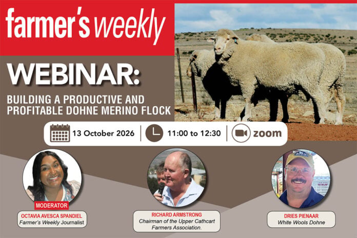Webinar: Building a productive and profitable Dohne Merino flock