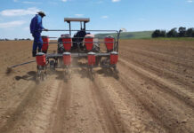 Land Bank keeps new BFS applications on hold despite R500m pledge