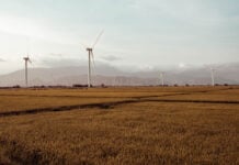 Climate risk planning becomes central to survival for South African farmers