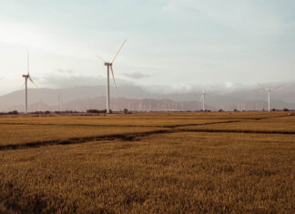Climate risk planning becomes central to survival for South African farmers