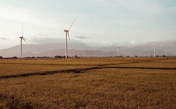 Climate risk planning becomes central to survival for South African farmers