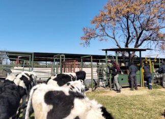 Agri Skills Transfer expands training offering for 2027