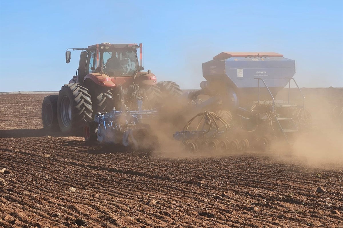 Risk management strategies for the current planting season