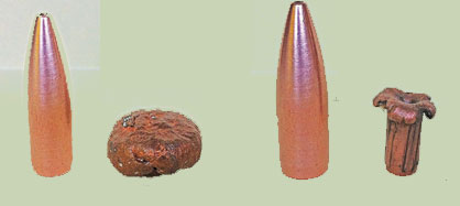  30-calibre 130g Goodnel Plainsmaster monometal copper expanding bullet (left). The bullet (right) recovered from a blue wildebeest shot at 230 paces, shows the classic mushroom-like expansion that enlarges the wound channel. A balance between expansion and penetration, and hitting a vital organ, is what ensures a clean one-shot kill. 